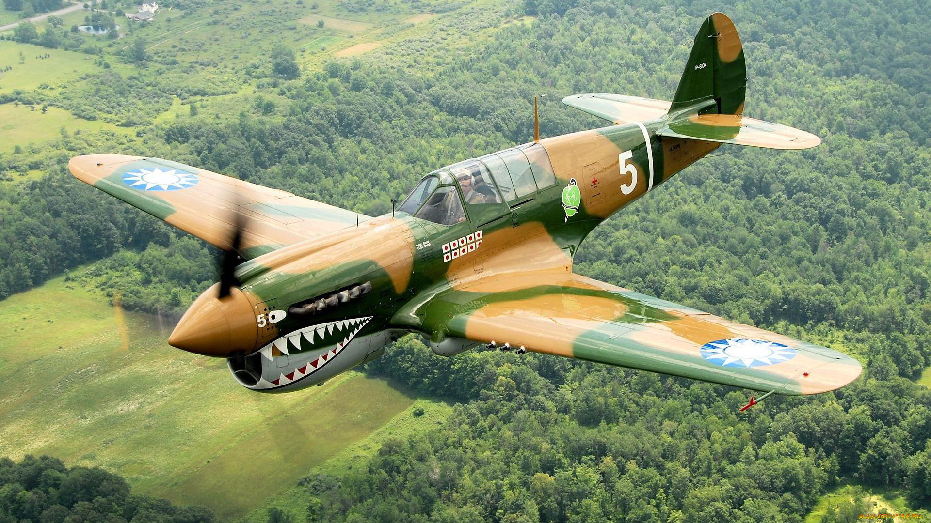 , , , , , , p40 warhawk